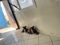 IMG_0939.jpeg
