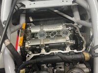 IMG_1800.jpeg