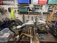 IMG_3872.jpeg