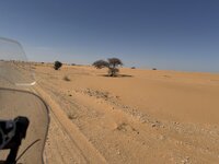 IMG_0973.jpeg