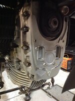 IMG_0255.jpeg