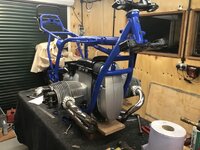 IMG_8772.jpeg