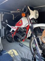 IMG_4052.jpeg