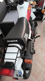 IMG_0654.jpeg