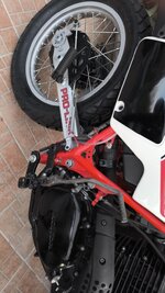 IMG_0649.jpeg