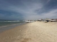 IMG_1026.jpeg