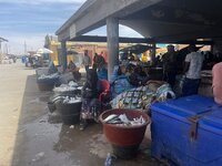 IMG_1024.jpeg