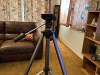 IMG_8231.jpeg