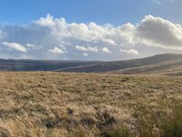 IMG_0796.jpeg
