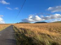 IMG_3382.jpeg