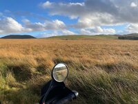 IMG_0799.jpeg