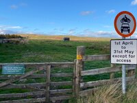 IMG_0803.jpeg