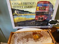 IMG_0811.jpeg