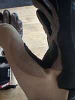IMG_5806.jpeg