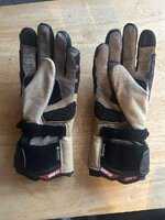 IMG_5805.jpeg