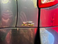IMG_9860.jpeg
