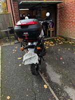 IMG_7693.jpeg