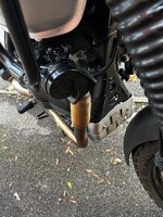 IMG_7696.jpeg