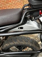 IMG_7702.jpeg