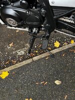 IMG_7705.jpeg