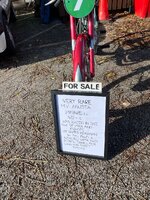 IMG_2401.jpeg