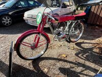 IMG_2399.jpeg