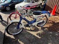 IMG_2398.jpeg