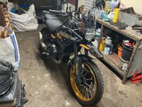 IMG_8296.jpeg IMG_8296.jpeg