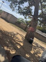 IMG_1078.jpeg