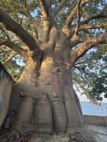 IMG_1095.jpeg