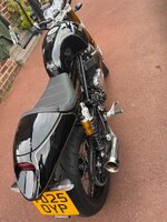 IMG_8115.jpeg