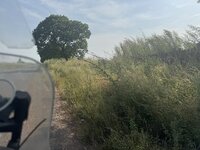 IMG_1123.jpeg