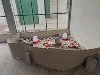 IMG_1153.jpeg