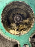 IMG_3965.jpeg