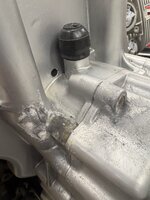 IMG_3993.jpeg