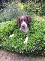 IMG_2741.jpeg