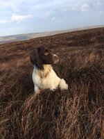IMG_4806.jpeg