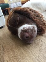 IMG_5560.jpeg