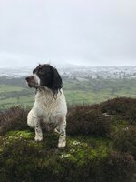 IMG_1141.jpeg