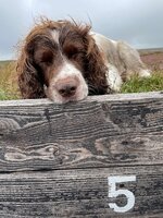IMG_2021.jpeg