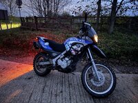 IMG_9590.jpeg