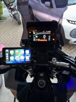 IMG_0264.jpeg IMG_0264.jpeg