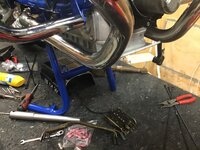 IMG_8802.jpeg