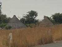 IMG_1218.jpeg