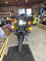 IMG_3973.jpeg IMG_3973.jpeg