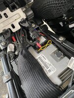 IMG_3995.jpeg IMG_3995.jpeg