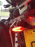 IMG_3979.jpeg IMG_3979.jpeg
