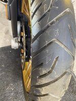 IMG_3987.jpeg IMG_3987.jpeg