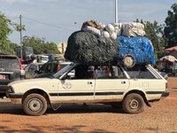 IMG_1237.jpeg