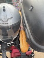 IMG_1255.jpeg